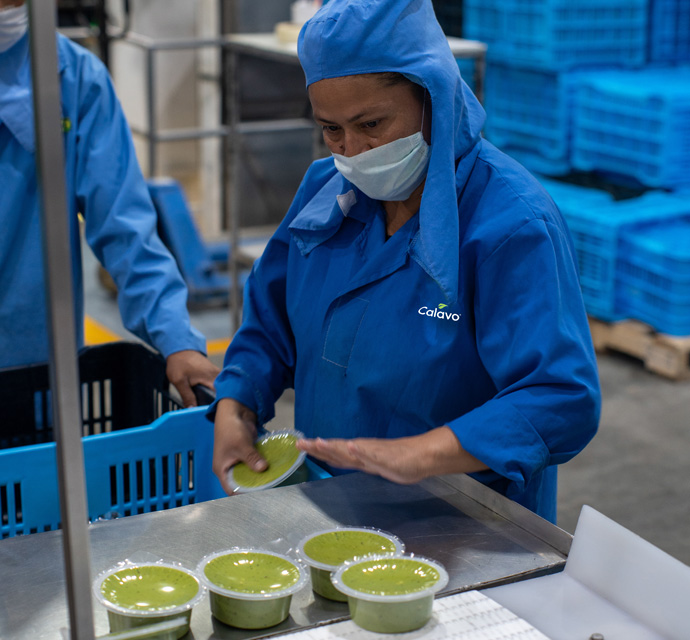 Calavo worker processing guacamole